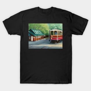 Laxey, Isle Of Man T-Shirt